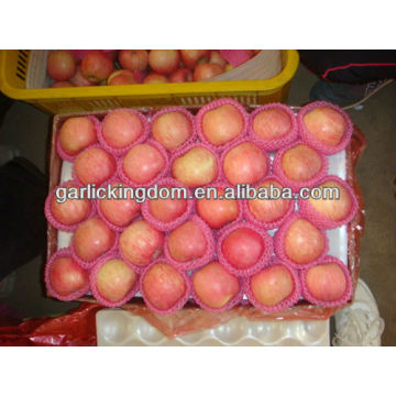 China red fresh fuji apple price